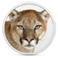 Lion de montagne